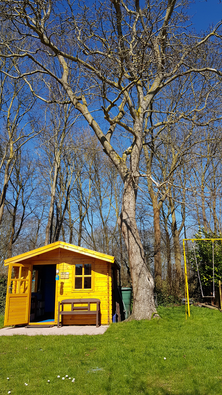Impressionen von Stralsund - Das Gartenhaus mit der Schaukel unter dem Walnussbaum
